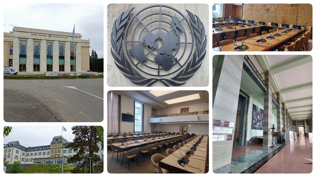 ONU2026