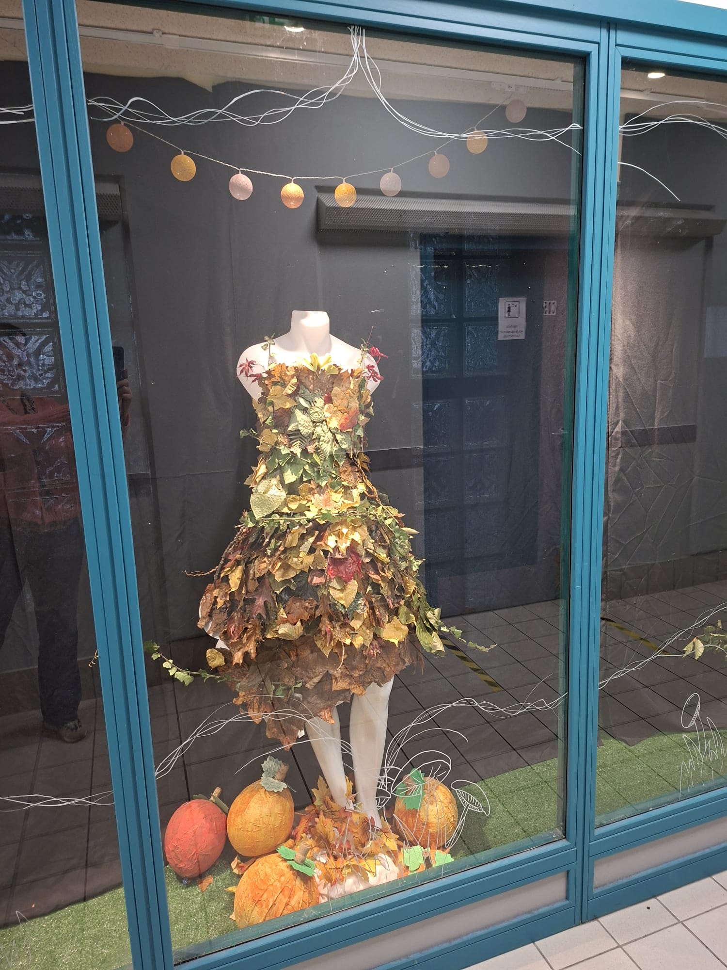 Vitrine Automne 2025 4